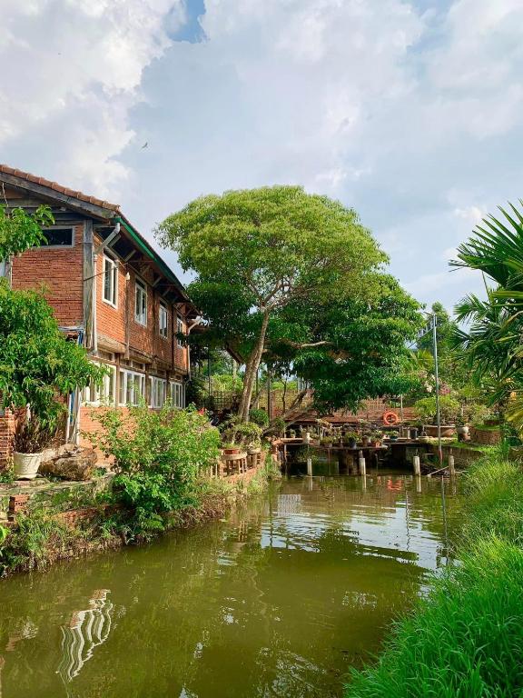 Suối Xanh Garden Suối Xanh Garden