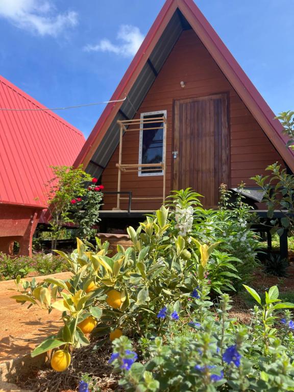 Thanya local campsite Thailand 