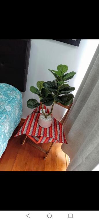 En el centro Con cochera - 5