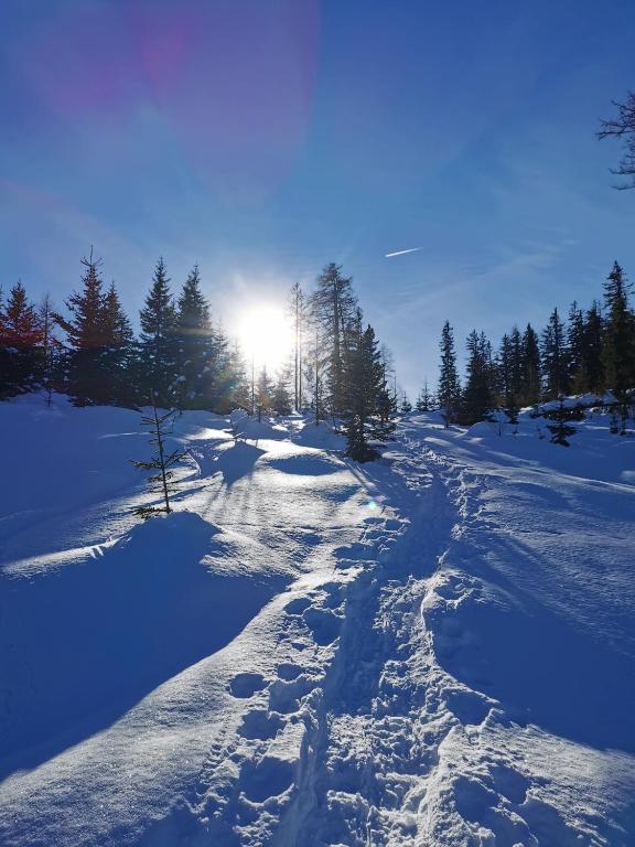 Bergheim - 2