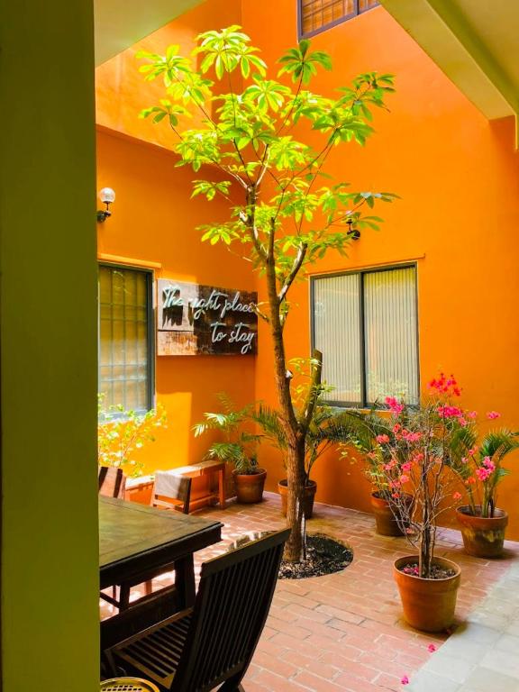 Chi Hieu Homestay