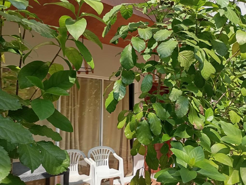 Seaview by Ukulhas, Filitheyo