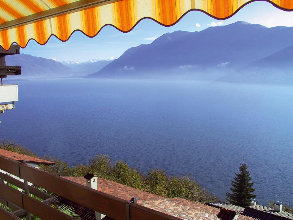 Parco Esotico by HolAp SA, Brissago