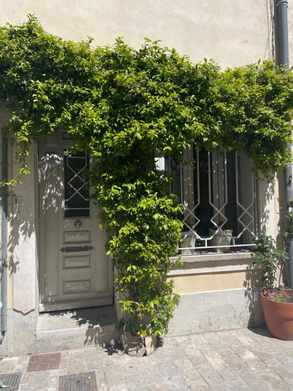 Logement clim et patio centre remparts - 5