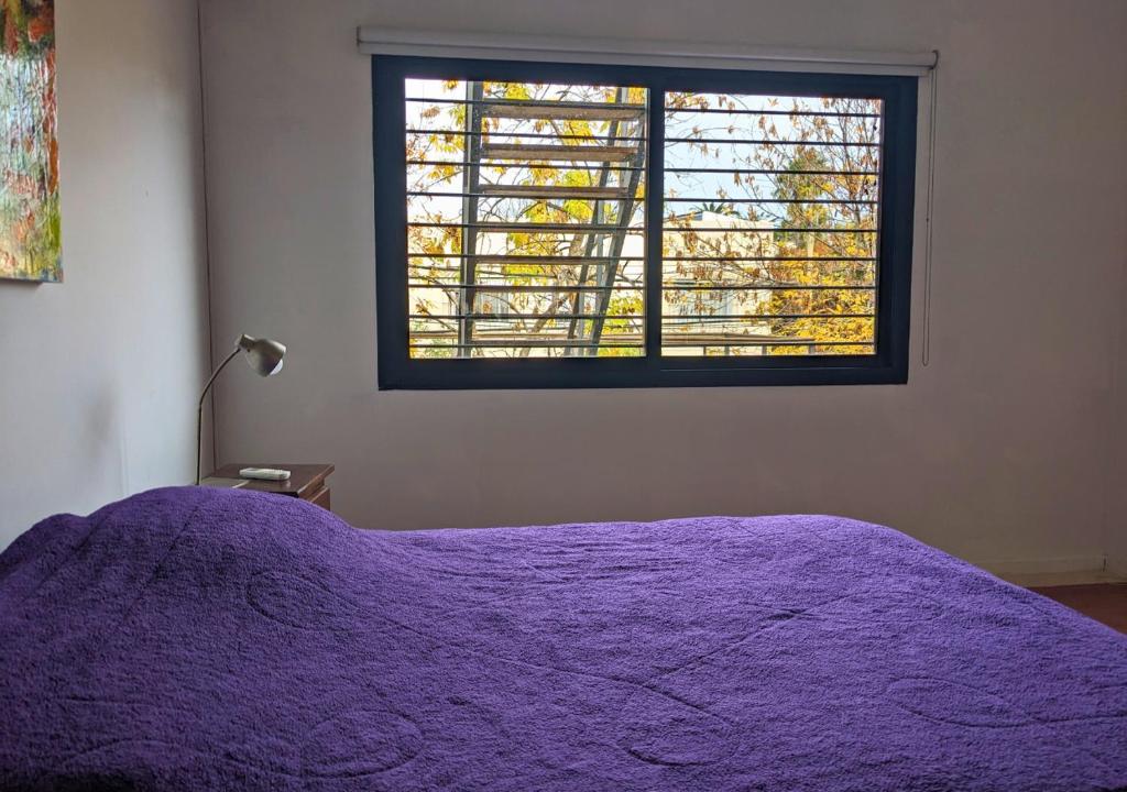 House - Organic Vegetable Garden and Swimming Pool - 5