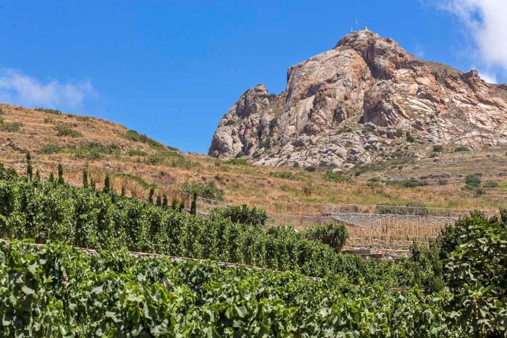 アクティビティ