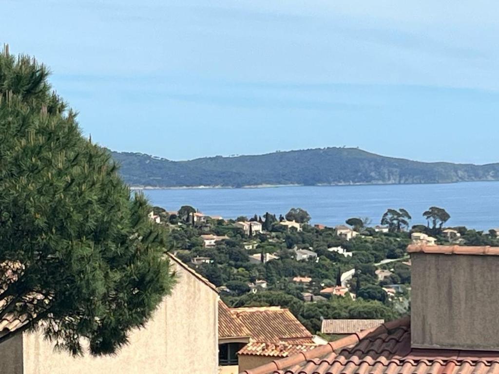 T3 vue mer avec piscine - 1