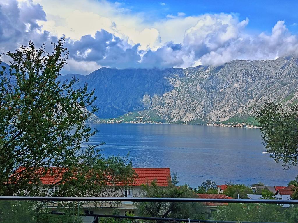 Vibrant BayView Apartment Kotor - 2
