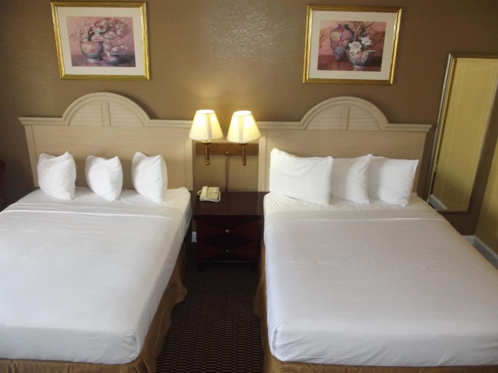 Ambassadors Inn & Suites photo