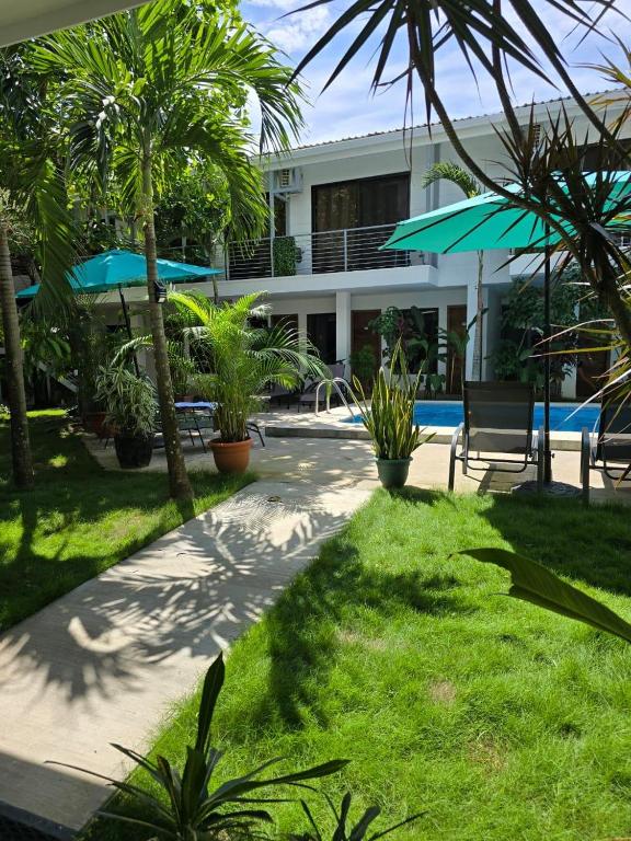 View, Wide Mouth Frog Quepos in Quepos