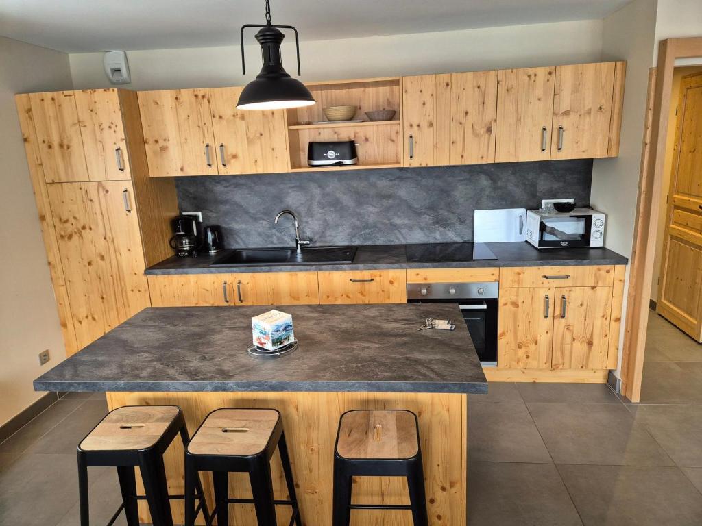 Appartement lumineux proche pistes, animaux admis - FR-1-811-14 - 3
