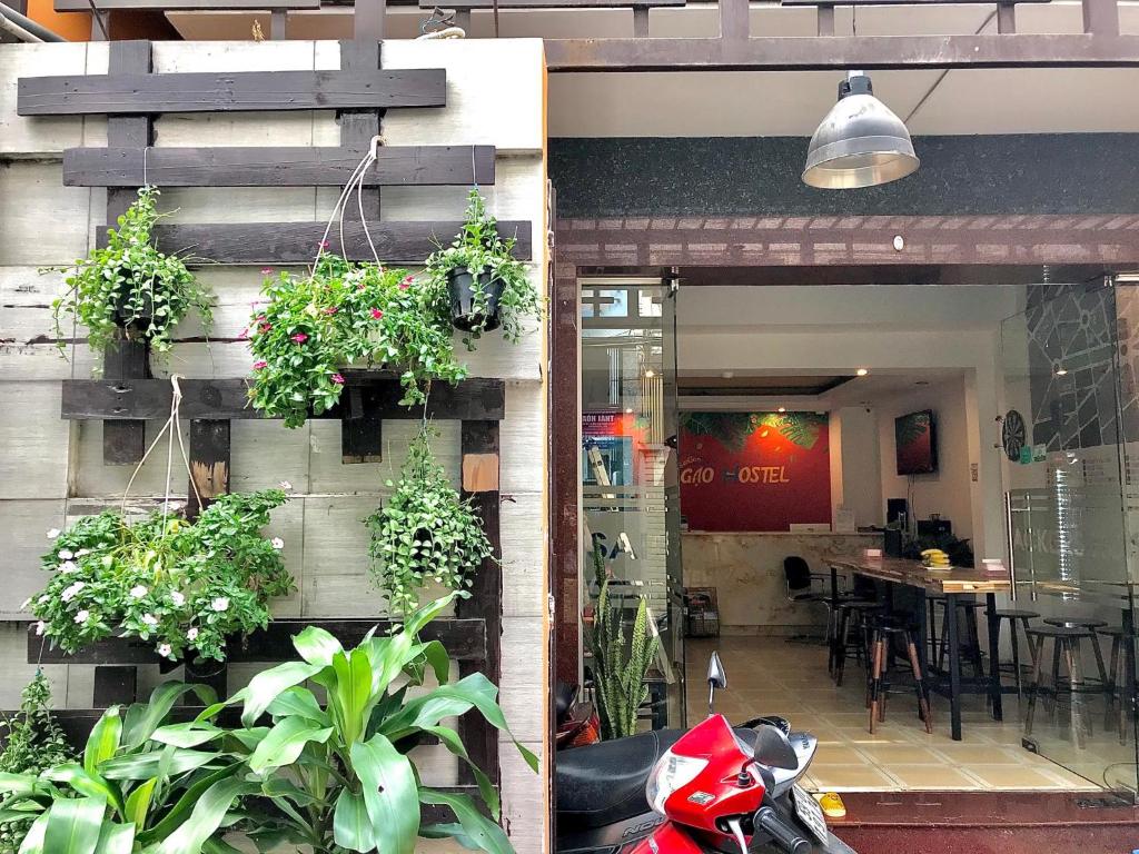 Saigon Gao Hostel, Ho Či Minovo Město