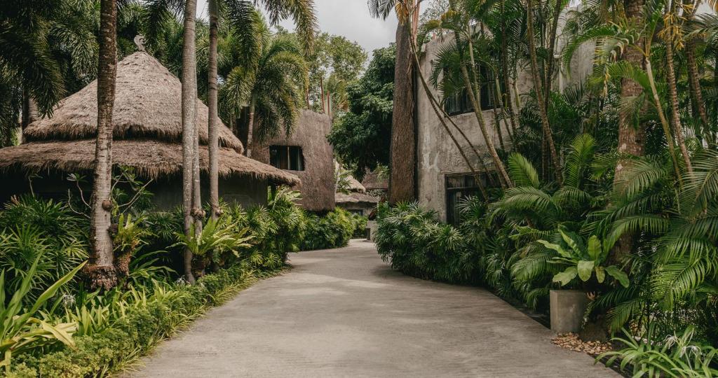 Surrounding environment