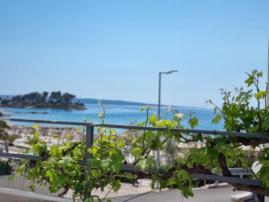 Apartment Lučka, Rab