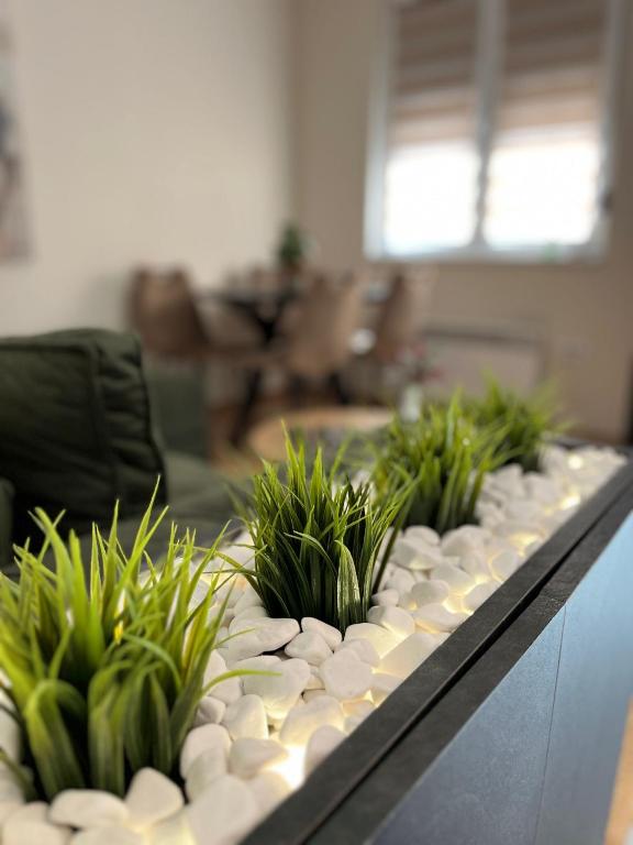 Apartman LuJ Zlatibor, Zlatibor