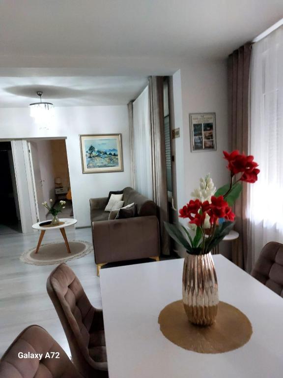 Apartman River Una - 5