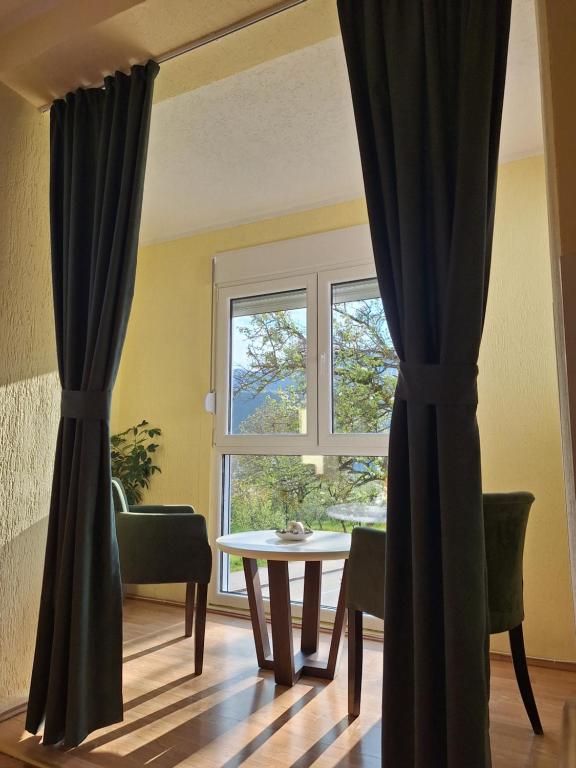 Apartman Sara, Plužine