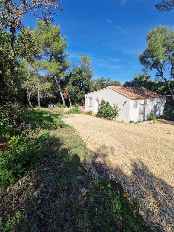 Opetitparadis - 3