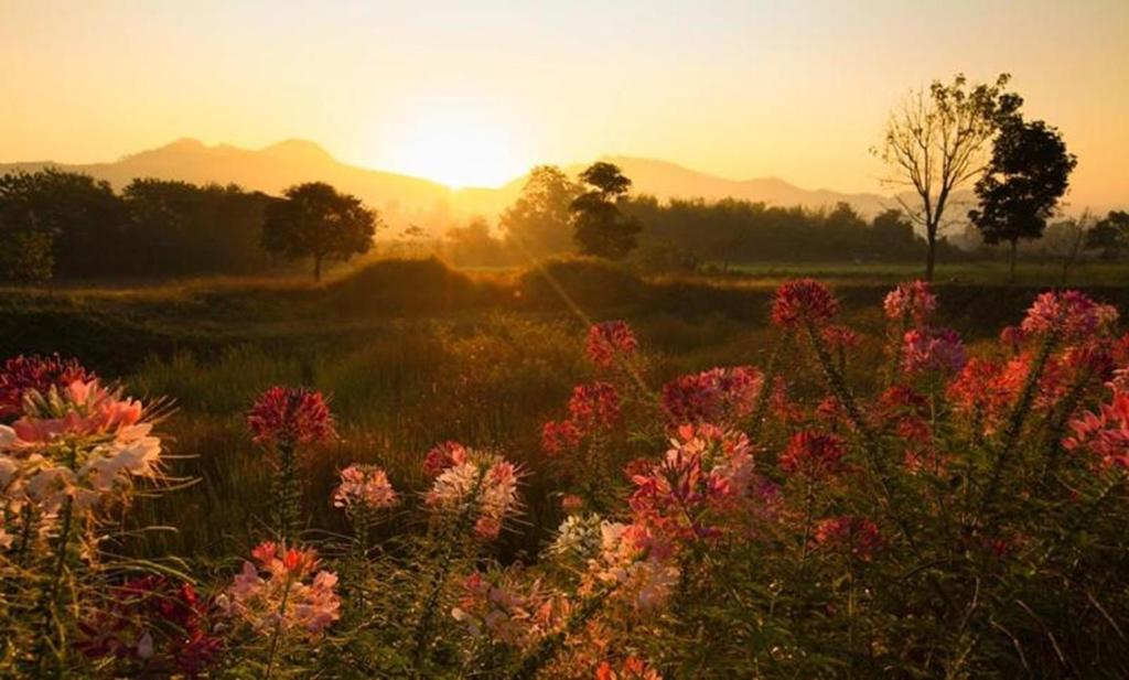 ทัศนียภาพ