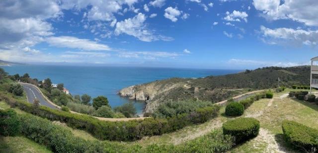 App T2 Climatisé-Vue Mer-Linge et ménage inclus - BANYULS SUR MER - 2