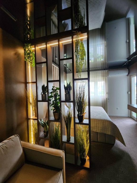 Harmony Apartments - 2