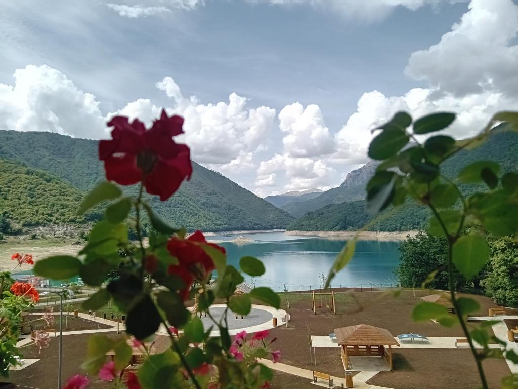 Studio Apartman D&S, Plužine