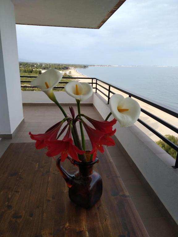 Mediterrani - Primera linea de mar, Miami Platja