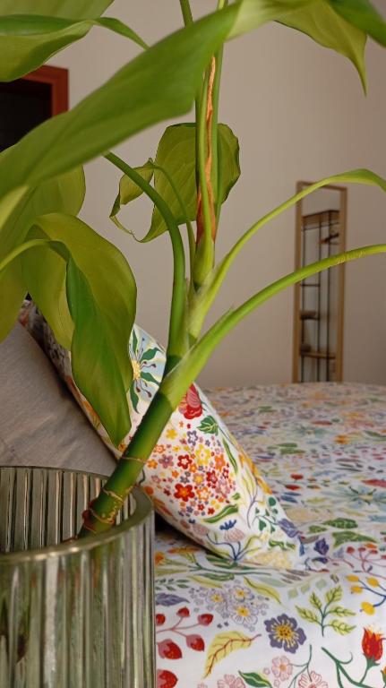 Sosta a colori, Trapani