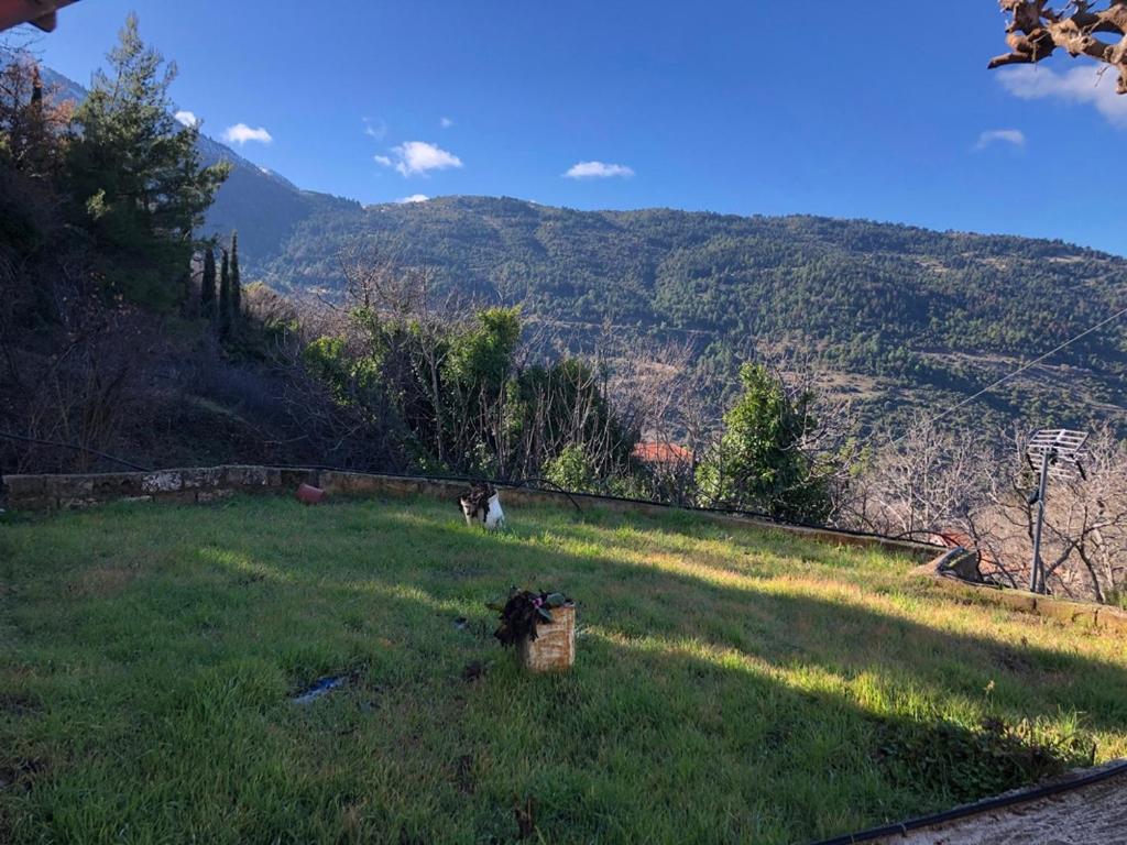 Helmos View - Relaxation & Nature, Valimí