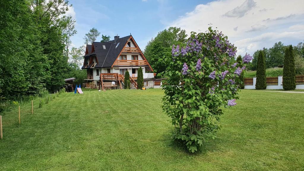 Willa Kosista, Zakopane