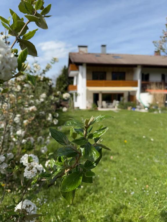 Ferienhaus Sonnenschein - 5