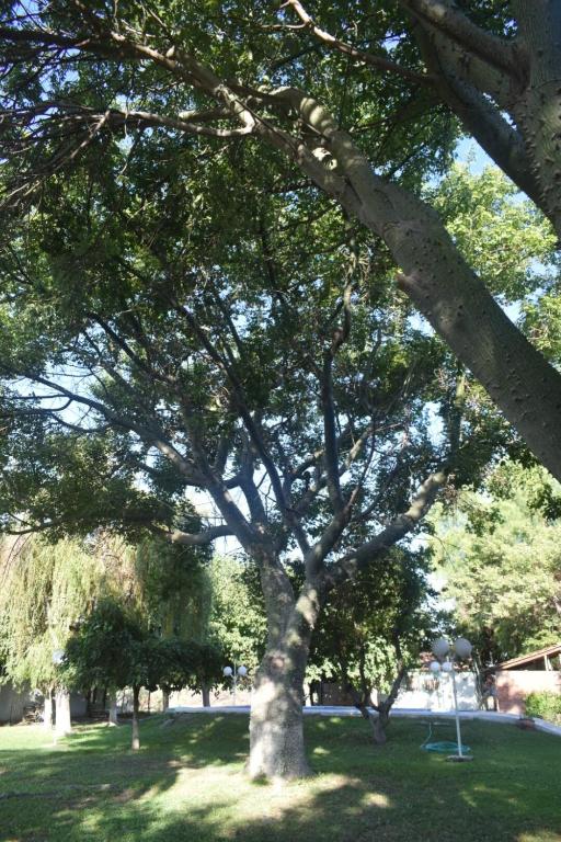 Casa quinta soñada! - 5