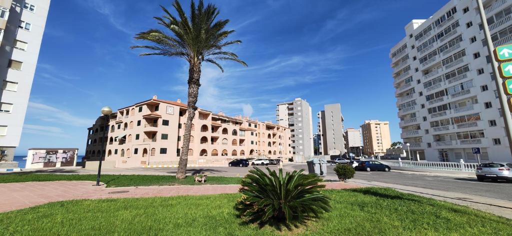 Apartament in Zambra III La Manga - 3