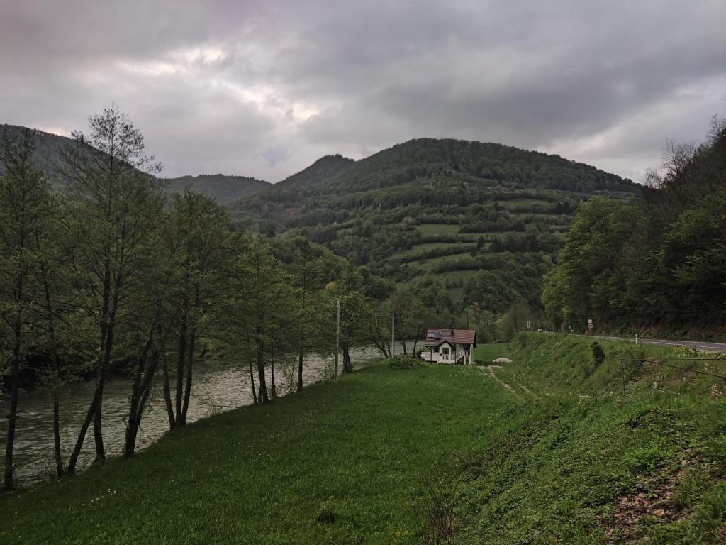 Vrbas Dreams, Torlakovac