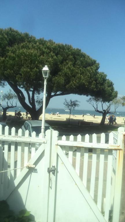 Arcachonaise à 50 m de la plage, Arcachon Centre - 3