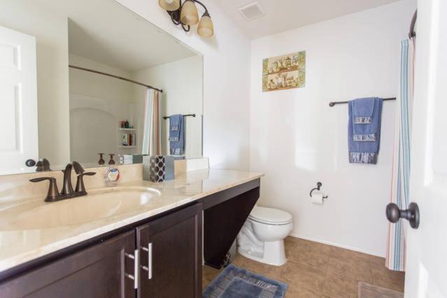 Clearwater Holiday Home photo