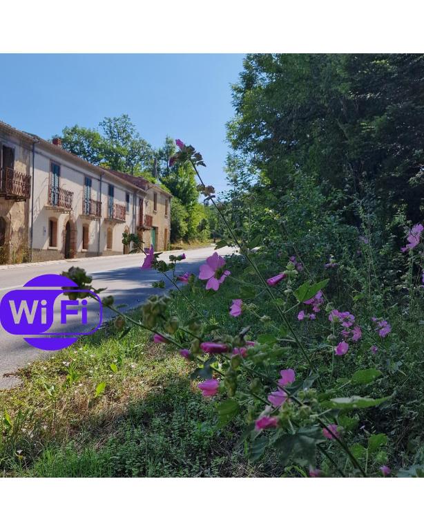 Le case di Papà Nuccio, Pietrabbondante