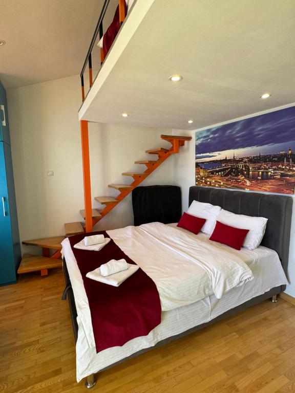 Silicon Valley studio, Bělehrad