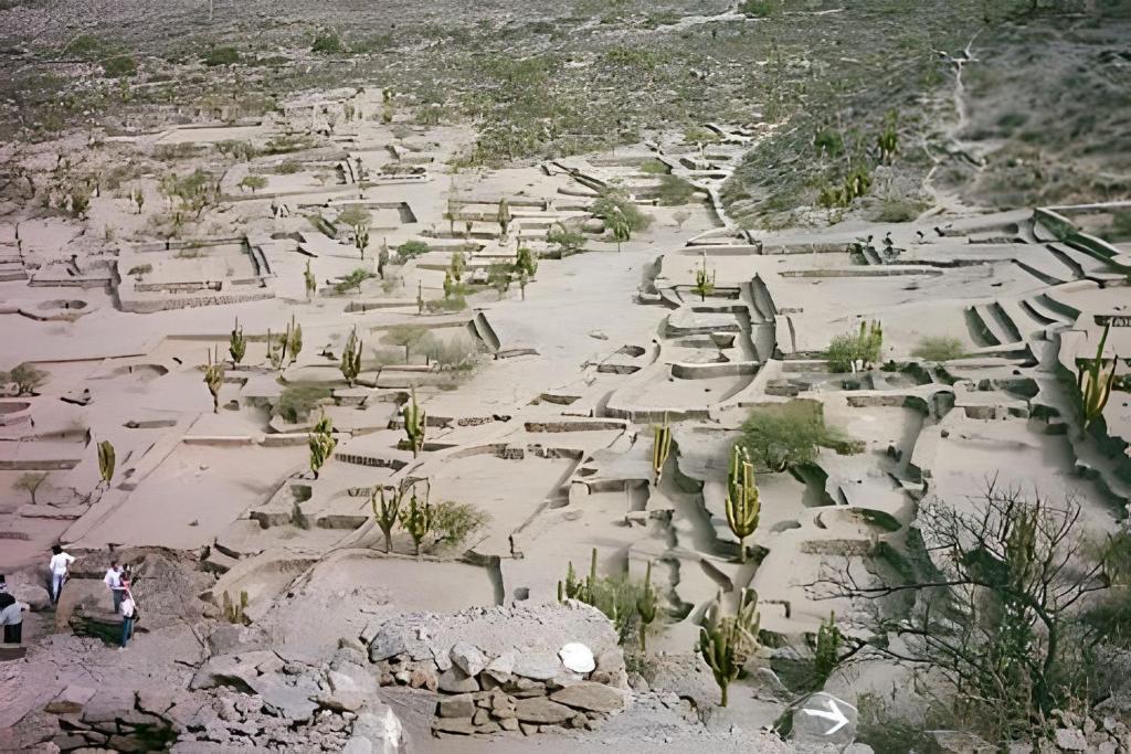 Camping Agreste "El Algarrobo de Quilmes" - 3