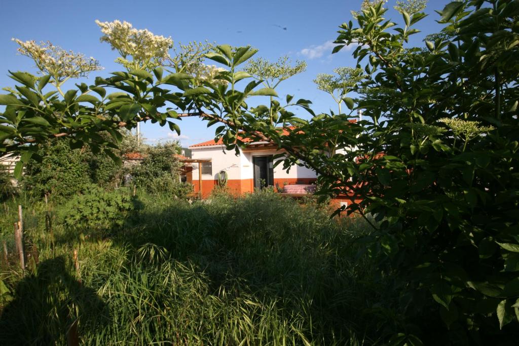 Horto do Amor, Carril