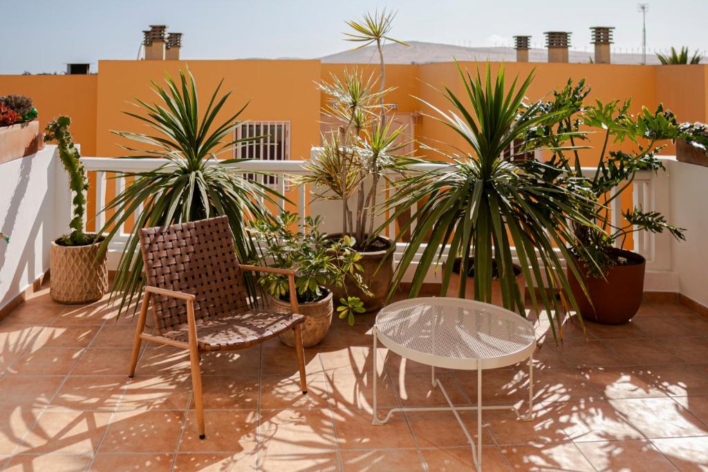 Casa Palmita - Costa Calma - Modern Apartment 2 Guests Terrace WiFi - 3