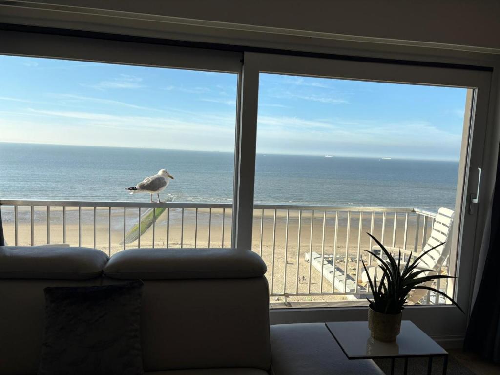 A&S Sea Vieuw 1, Blankenberge