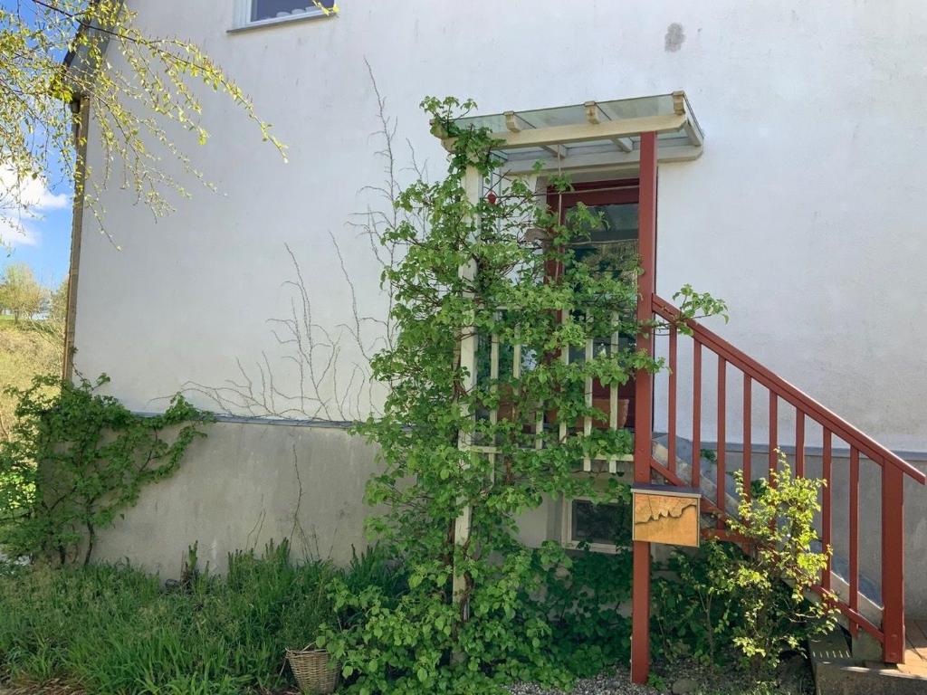 Hohmann - Ferienwohnung Berglyk, Bockholm