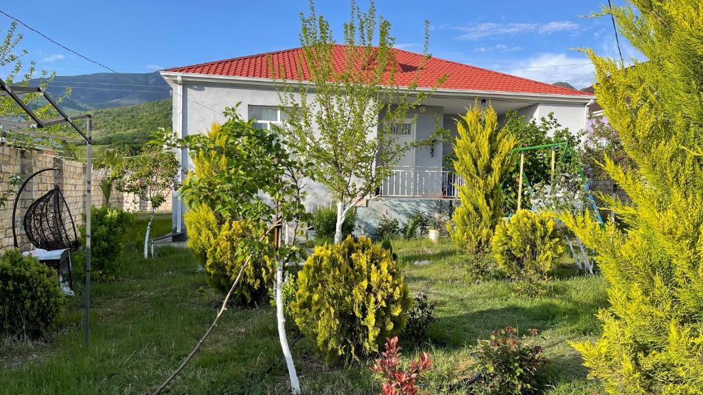 AkbA-Frame2, İsmayıllı