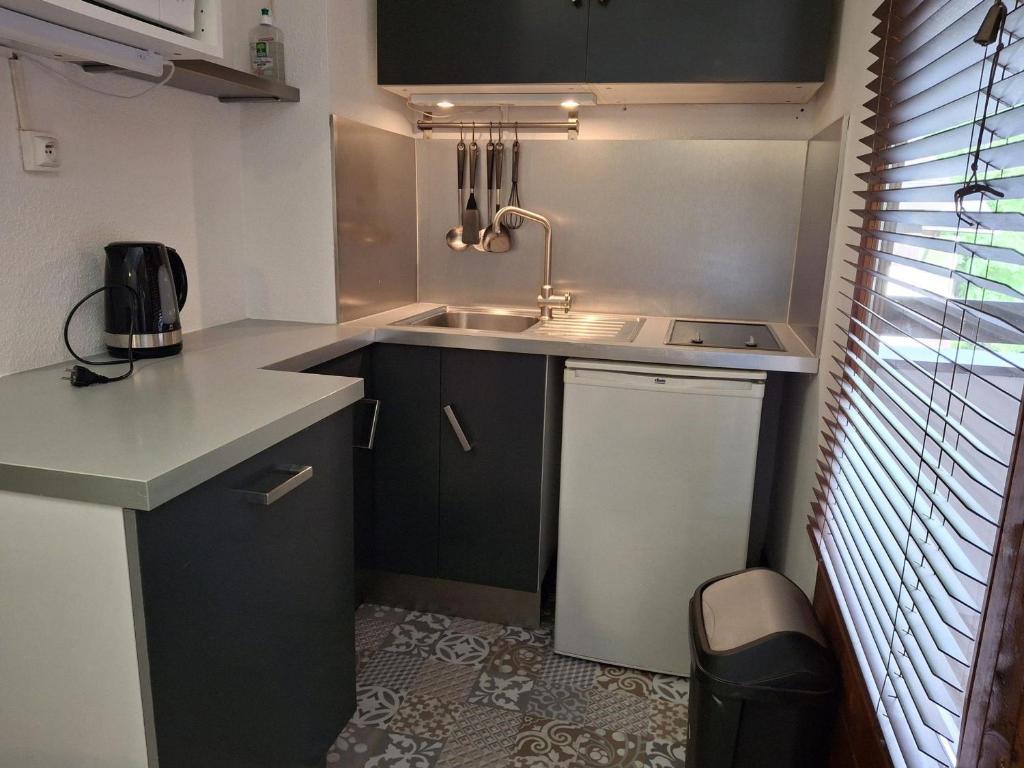 Studio 4 pers avec balcon et parking, WIFI inclus, animaux admis - 3