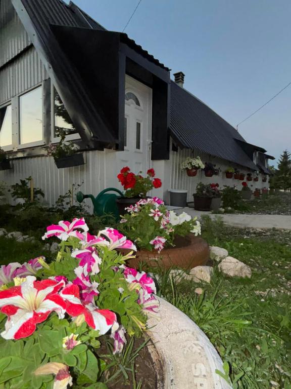 The Secret Garden Retreat - 1