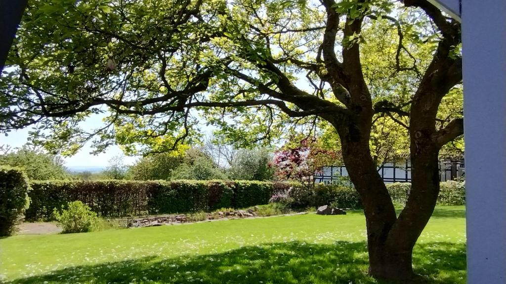 Gemütliche FeWo im Fachwerkhaus, Dörentrup