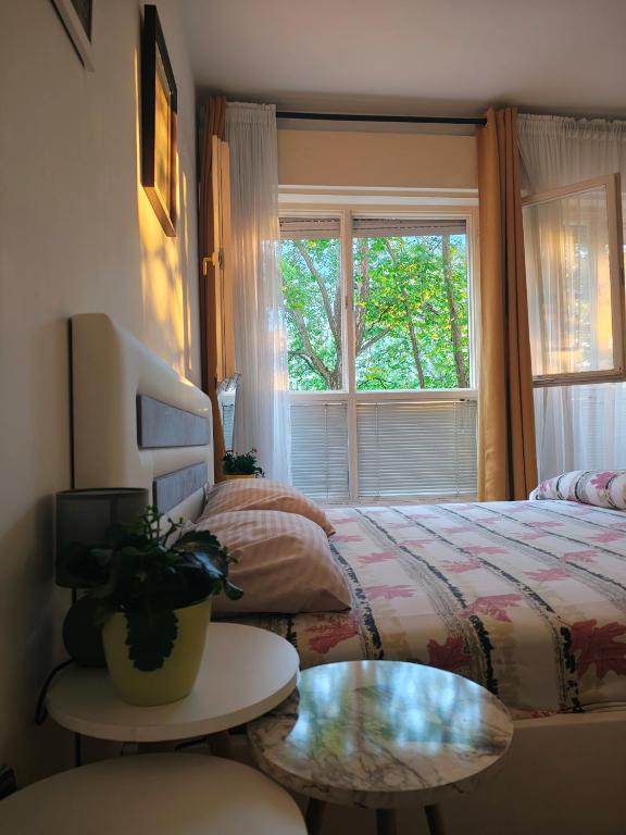 Apartment Centar - 2