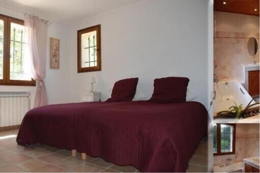 Villa les figuiers - 2