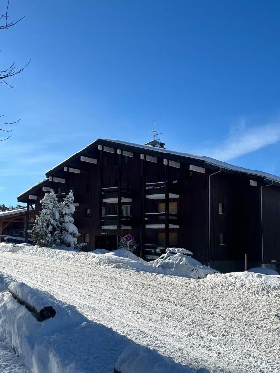 Studio Carroz d'Arâches 4 pers - 3